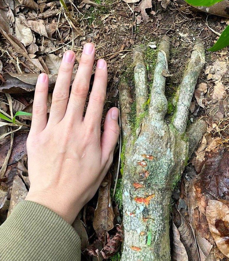 Mạnh Bà - Ảnh 4.