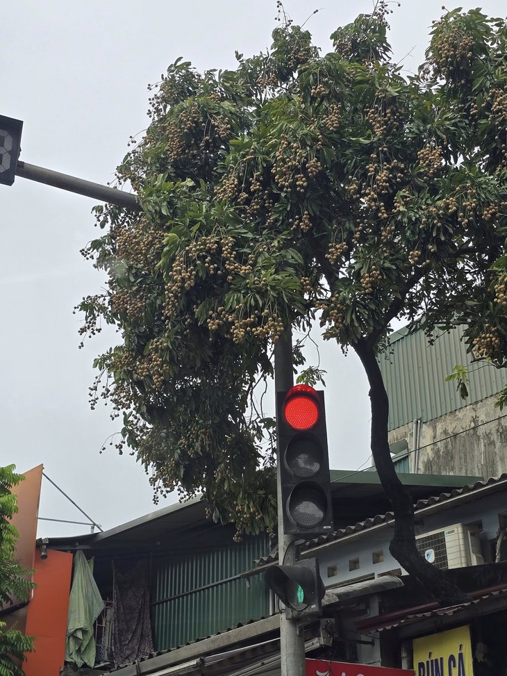 Mạnh Bà - Ảnh 6.