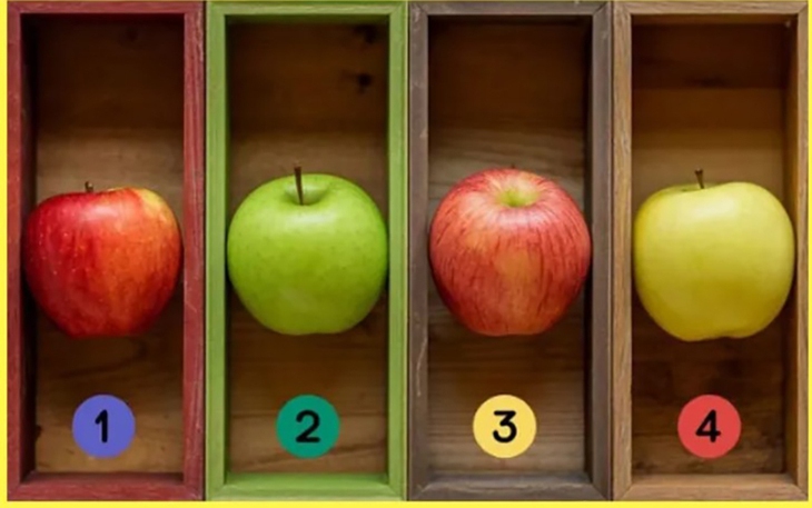 Quiz: Bạn là người sáng tạo, bản lĩnh hay đồng cảm - Ảnh 4.