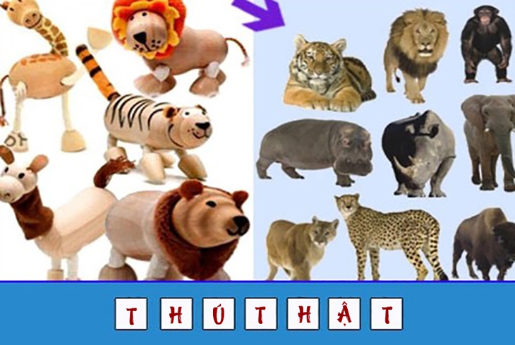 đuổi hình bắt chữ - Ảnh 4.