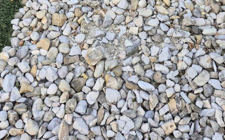 Thử tài tinh mắt: Con nhện ẩn giấu ở đâu? - Ảnh 7.