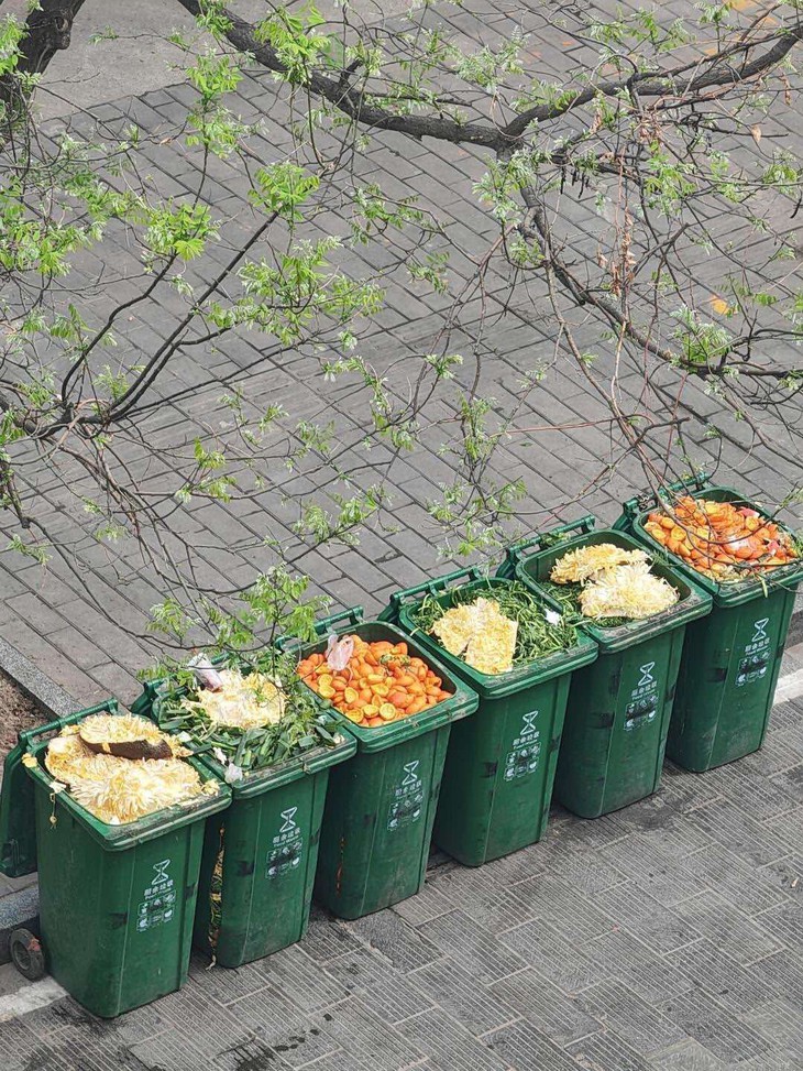 chụp ảnh - Ảnh 3.