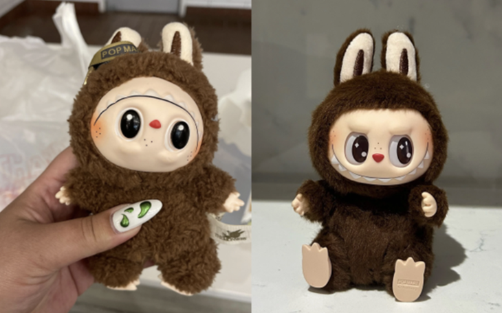 Cô gái bỏ nhà đi vì bố mẹ lo săn Labubu thay vì dự lễ tốt nghiệp của mình - Ảnh 5.