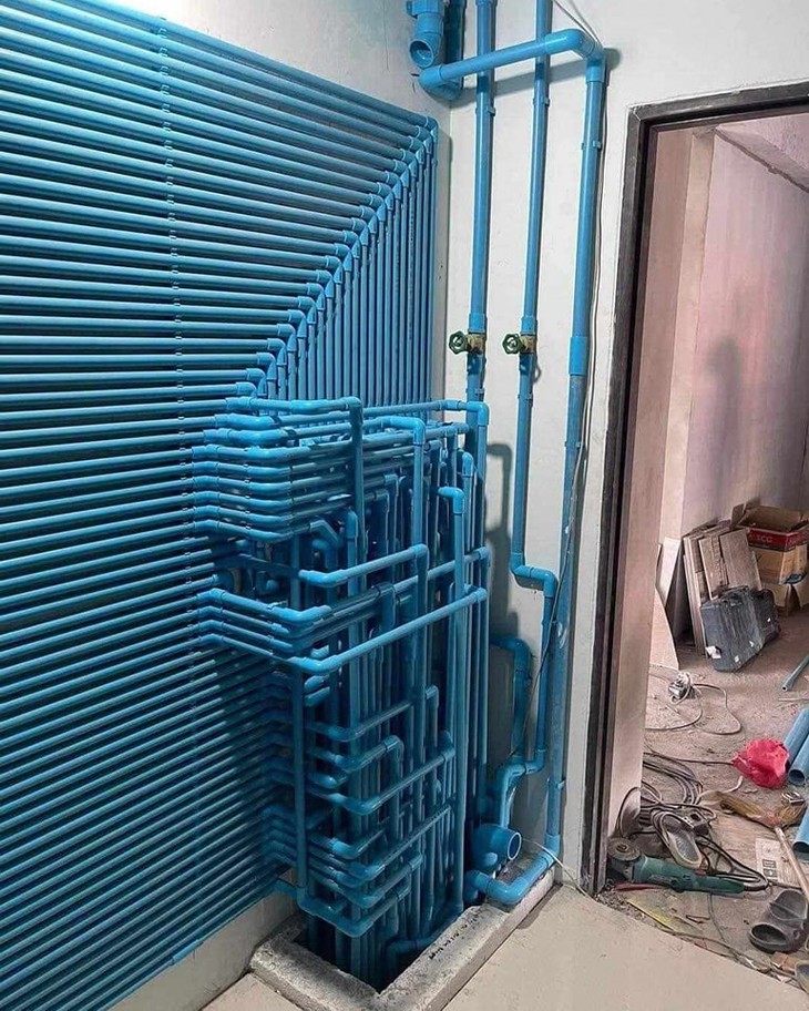 Hồng Tỷ - Ảnh 5.