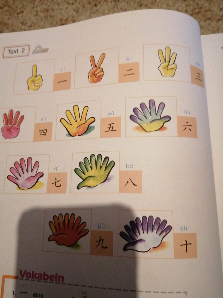 Hồng Tỷ - Ảnh 6.