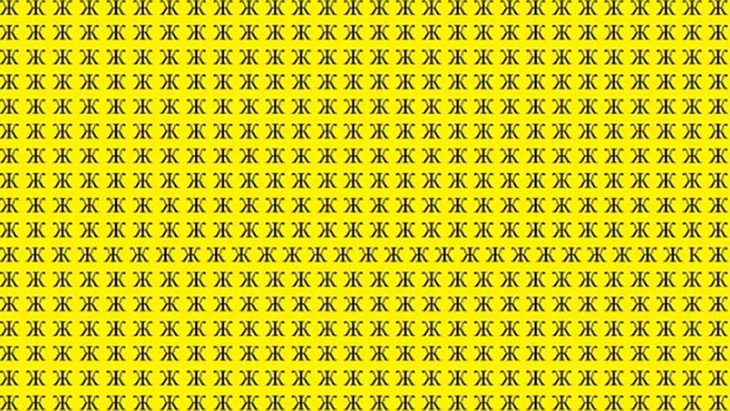 ẩn giấu - Ảnh 3.