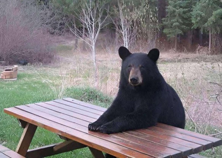 Ảnh vui 3-7: Lời cảnh báo dễ thương từ phía chủ xe ô tô - Ảnh 6.