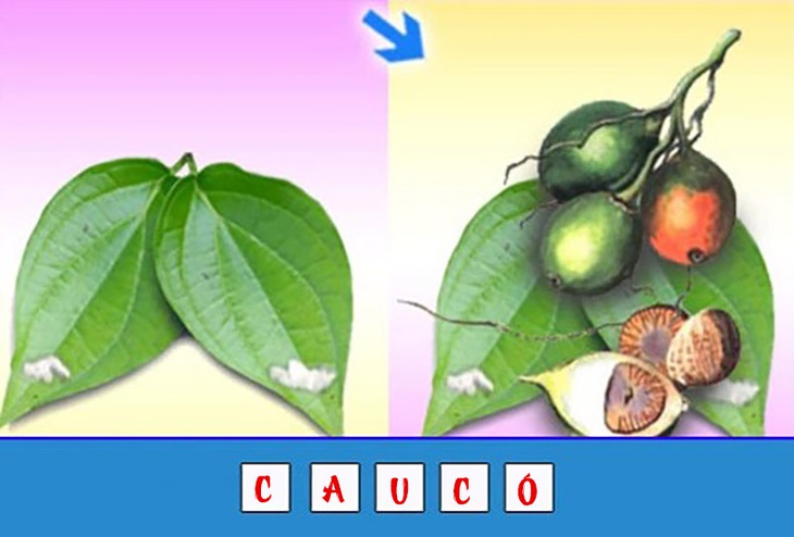  đuổi hình bắt chữ - Ảnh 2.