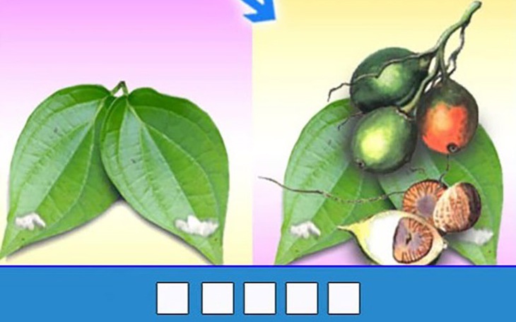 Thử tài nhanh trí với đuổi hình bắt chữ (P224) - Ảnh 5.