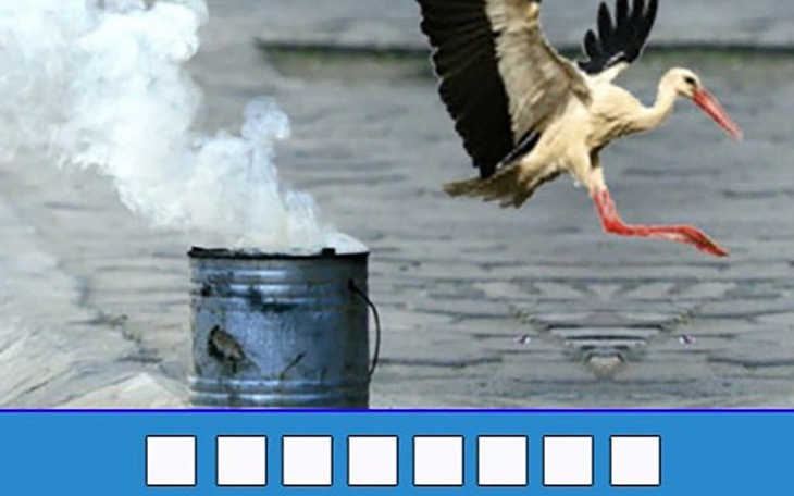 Thử tài nhanh trí với đuổi hình bắt chữ (P227) - Ảnh 7.