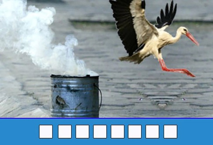 đuổi hình bắt chữ - Ảnh 1.