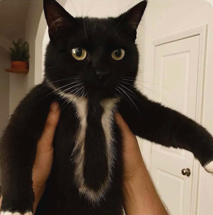 đứng hình - Ảnh 5.