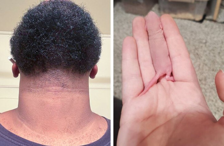 đứng hình - Ảnh 1.