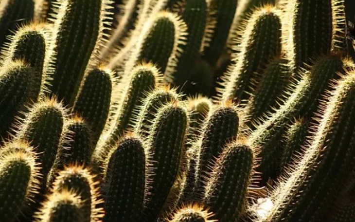 Quiz: Bạn đề cao sự ổn định, an toàn hay kiên cường, mạnh mẽ? - Ảnh 3.