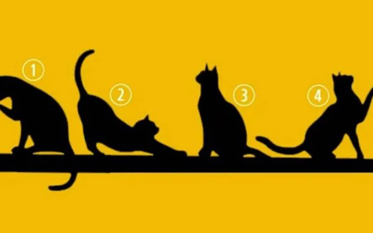 Quiz: Tính cách nào ở bạn dễ khiến người khác phát cáu? - Ảnh 4.