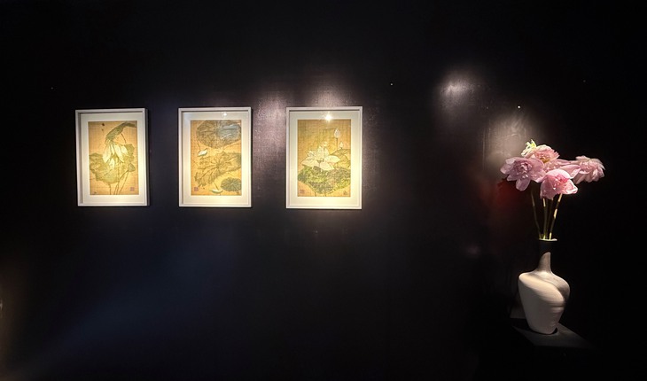 Shapes of Lotus - Liên cảnh - Ảnh 5.