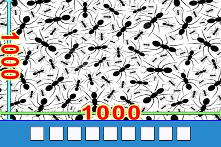 đuổi hình bắt chữ - Ảnh 3.