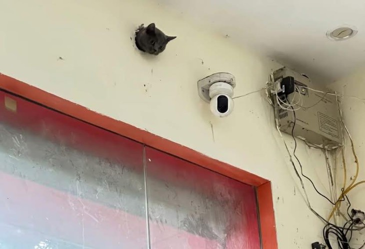 Robot đầu tiên trúng tuyển tiến sĩ ngành Kịch và Điện ảnh - Ảnh 6.