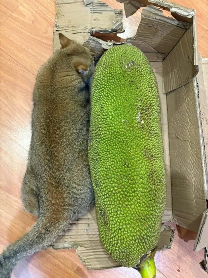 tiếng Thái - Ảnh 6.