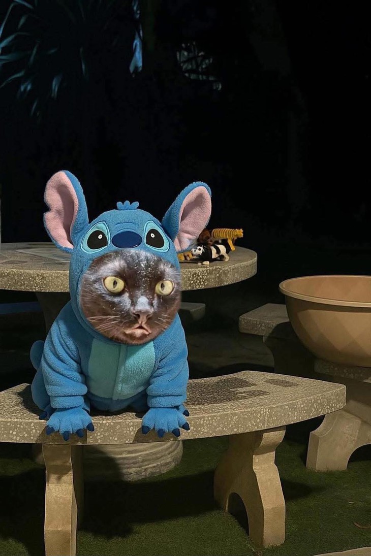 chúa tể - Ảnh 3.