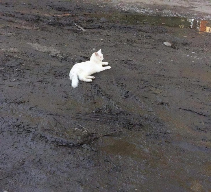 tiếng Thái - Ảnh 3.