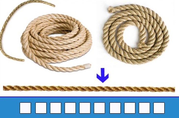 đuổi hình bắt chữ - Ảnh 3.