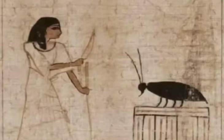 Cái túi nilon có in chữ 'BLACKPINK' được bán giá nửa triệu - Ảnh 4.