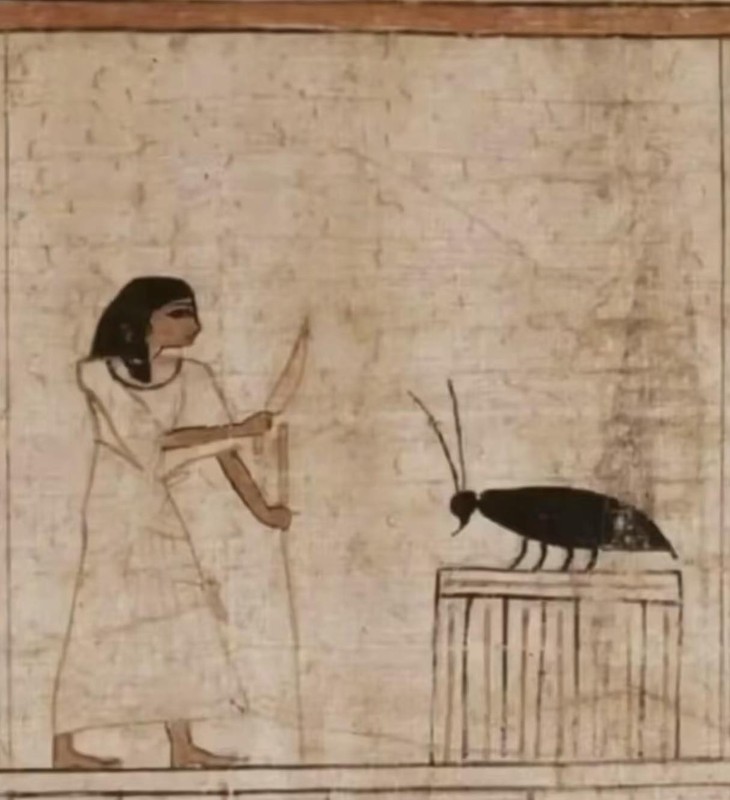 Ảnh vui 6-7: Tự dưng 'hiểu' luôn ngôn ngữ của người Ai Cập cổ - Ảnh 1.