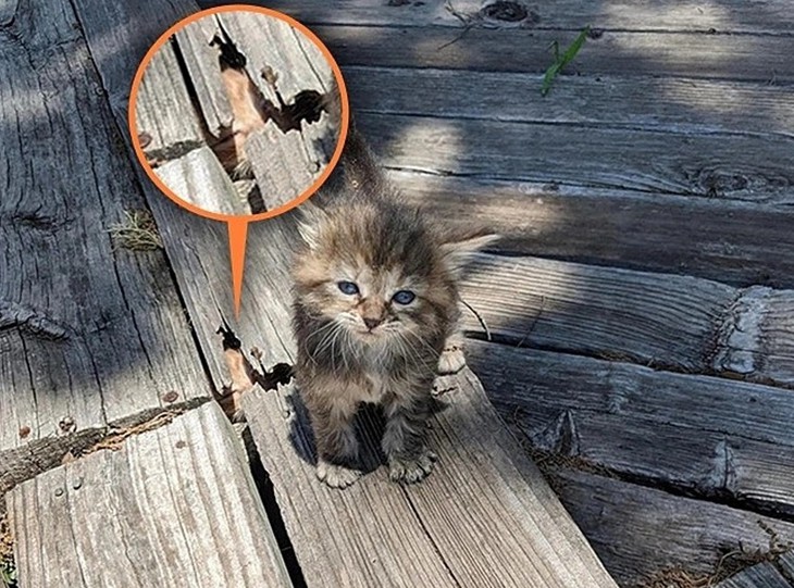 Thử tài tinh mắt - Ảnh 2.