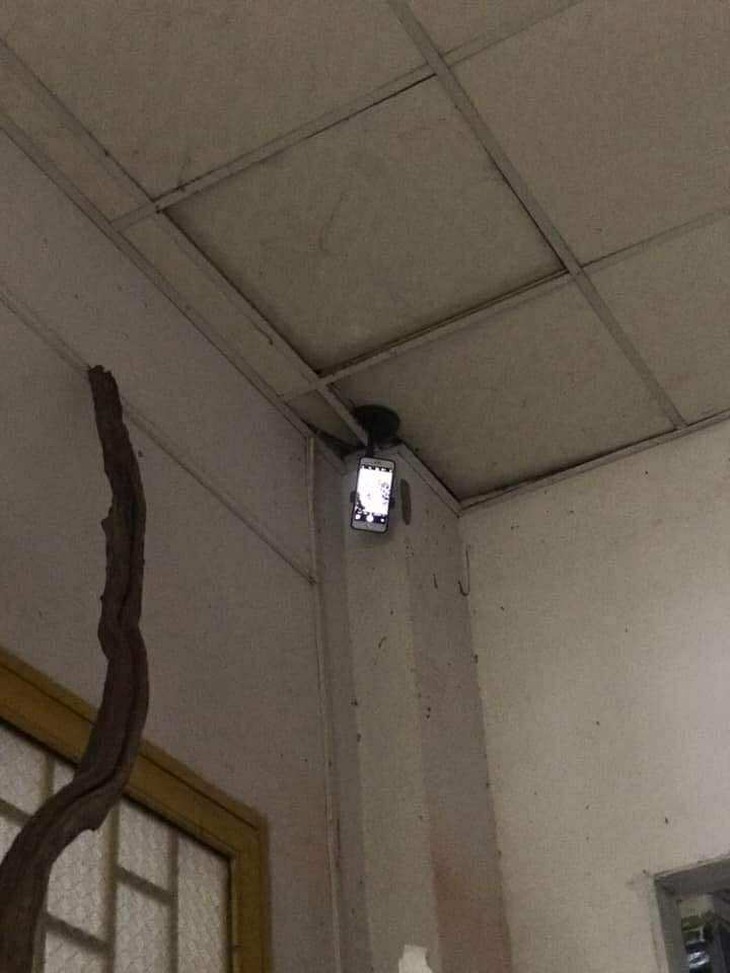 Dương Domic - Ảnh 2.