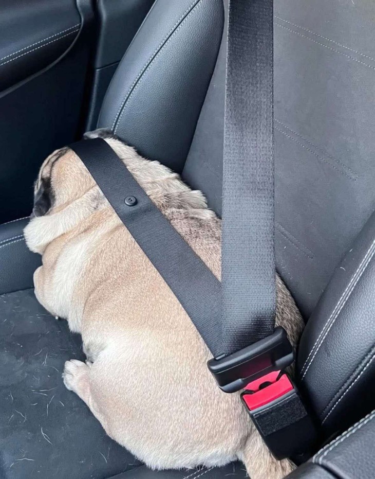 Dương Domic - Ảnh 5.