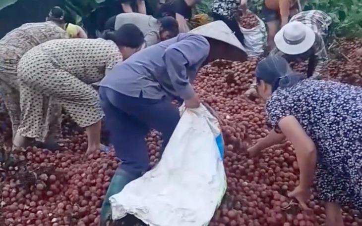 Netizen Trung rần rần lùng info các thanh niên 'ghé thăm' Hồng Tỷ - Ảnh 5.