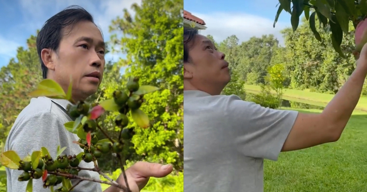 Hoài Linh - Ảnh 1.