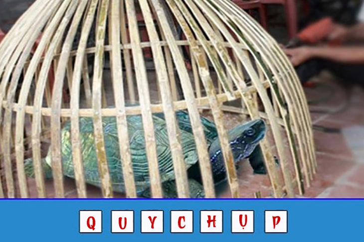 đuổi hình bắt chữ - Ảnh 4.