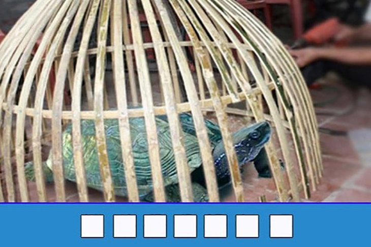 đuổi hình bắt chữ - Ảnh 3.