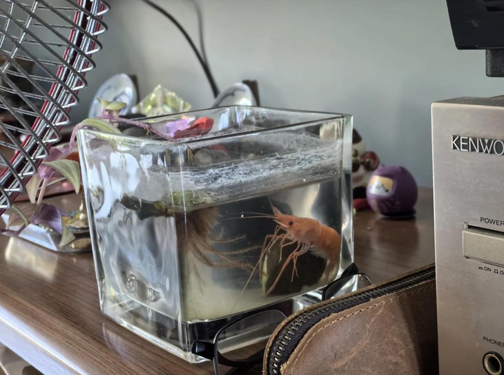 cầu thủ - Ảnh 3.