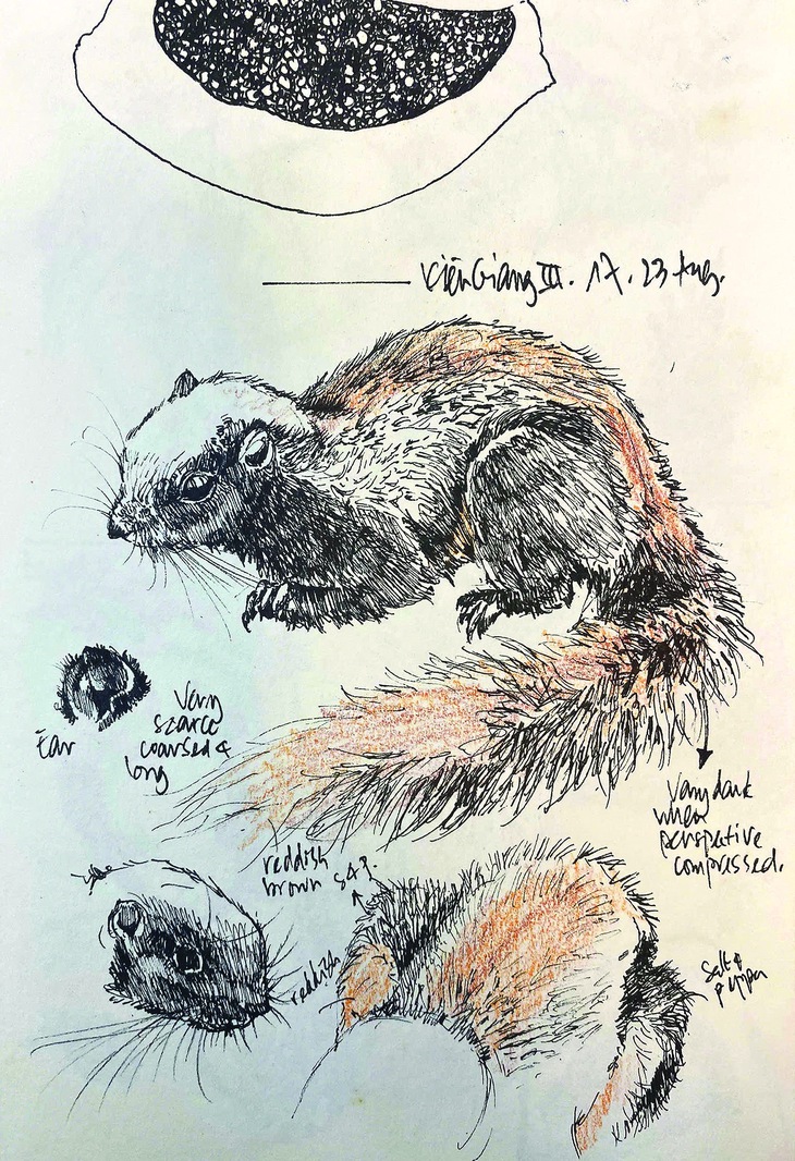 Đào Văn Hoàng - Ảnh 1.