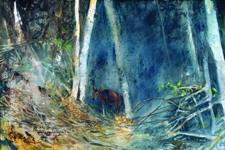 Đào Văn Hoàng - Ảnh 8.