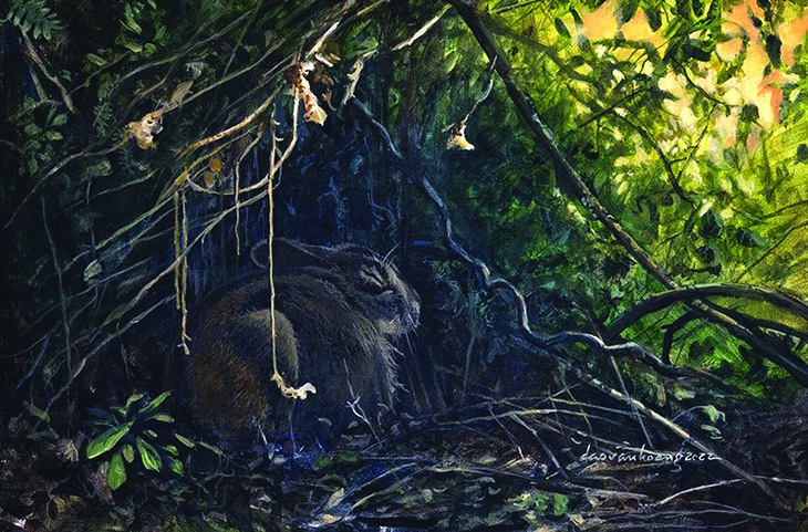 Đào Văn Hoàng - Ảnh 5.