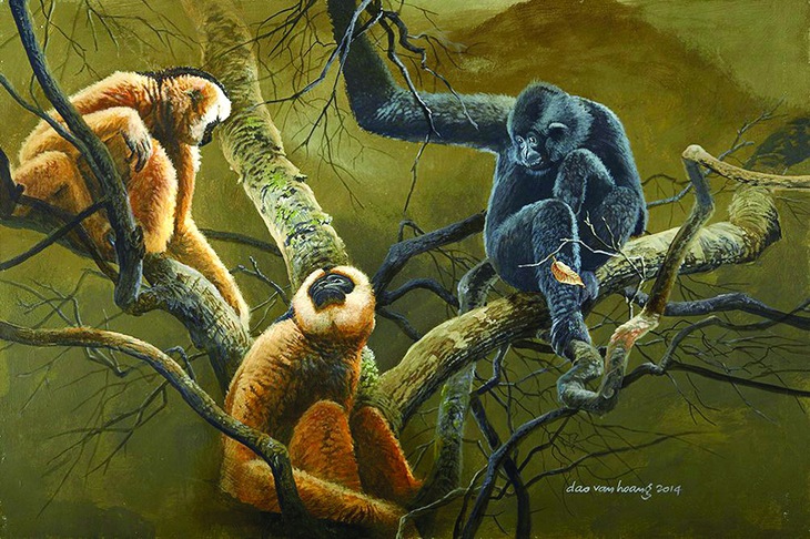 Đào Văn Hoàng - Ảnh 4.