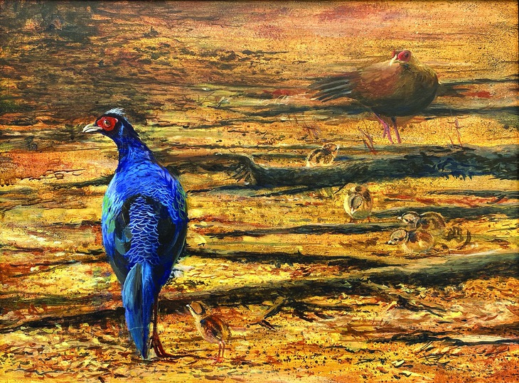 Đào Văn Hoàng - Ảnh 6.