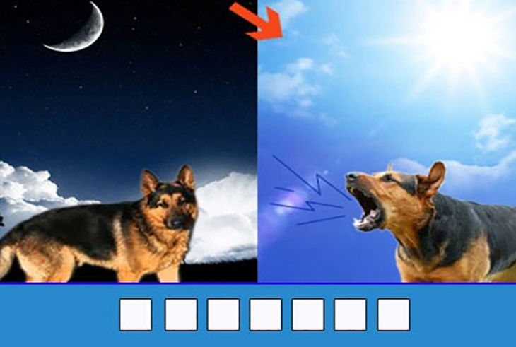 đuổi hình bắt chữ - Ảnh 3.