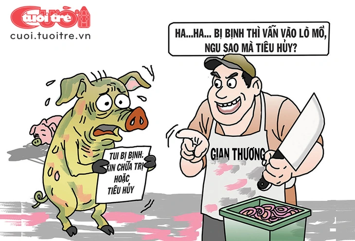 heo bệnh - Ảnh 1.