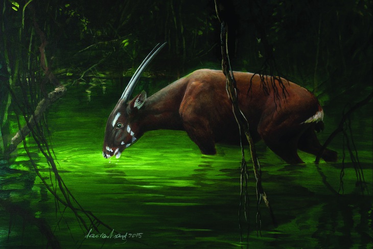 Đào Văn Hoàng - Ảnh 3.