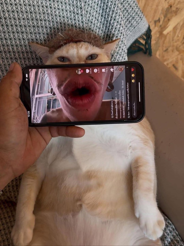 tài xế - Ảnh 3.