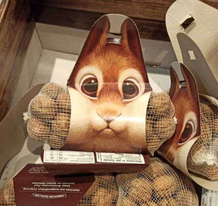 tài xế - Ảnh 2.