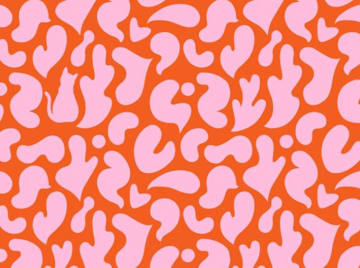 con rắn  - Ảnh 3.