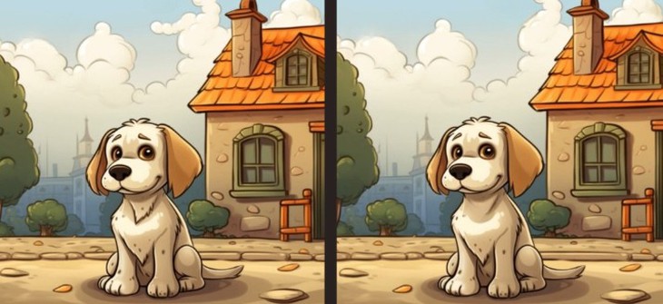 con vẹt - Ảnh 5.