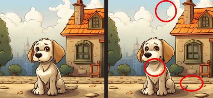 con vẹt - Ảnh 6.