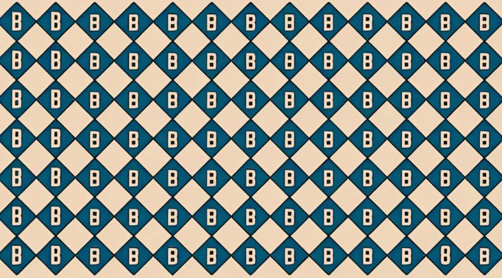 con vẹt - Ảnh 3.